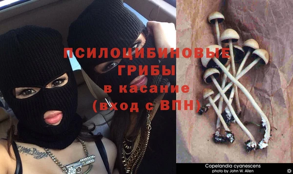 ALPHA-PVP Алексеевка